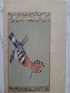 The Royal Hoopoe: Ustad Mansur-Style Study on 120-Year-Old Paper